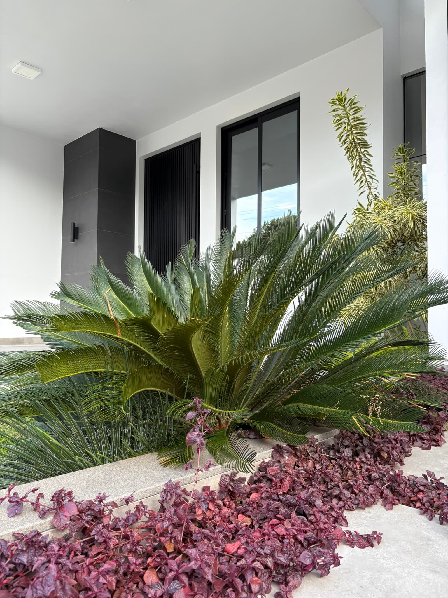 Projetos Residenciais — Casa LS