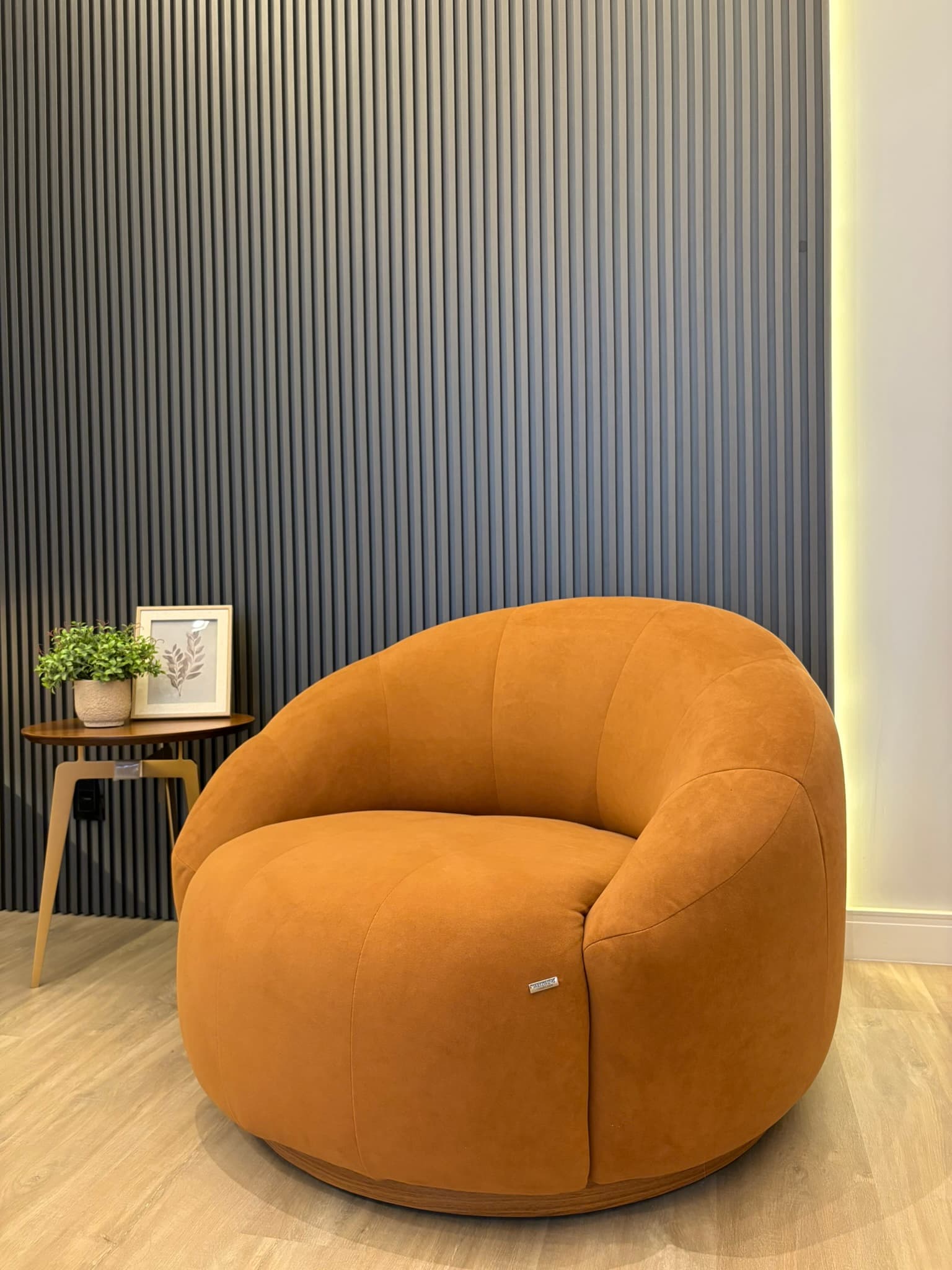 Casa LS — imagem 9