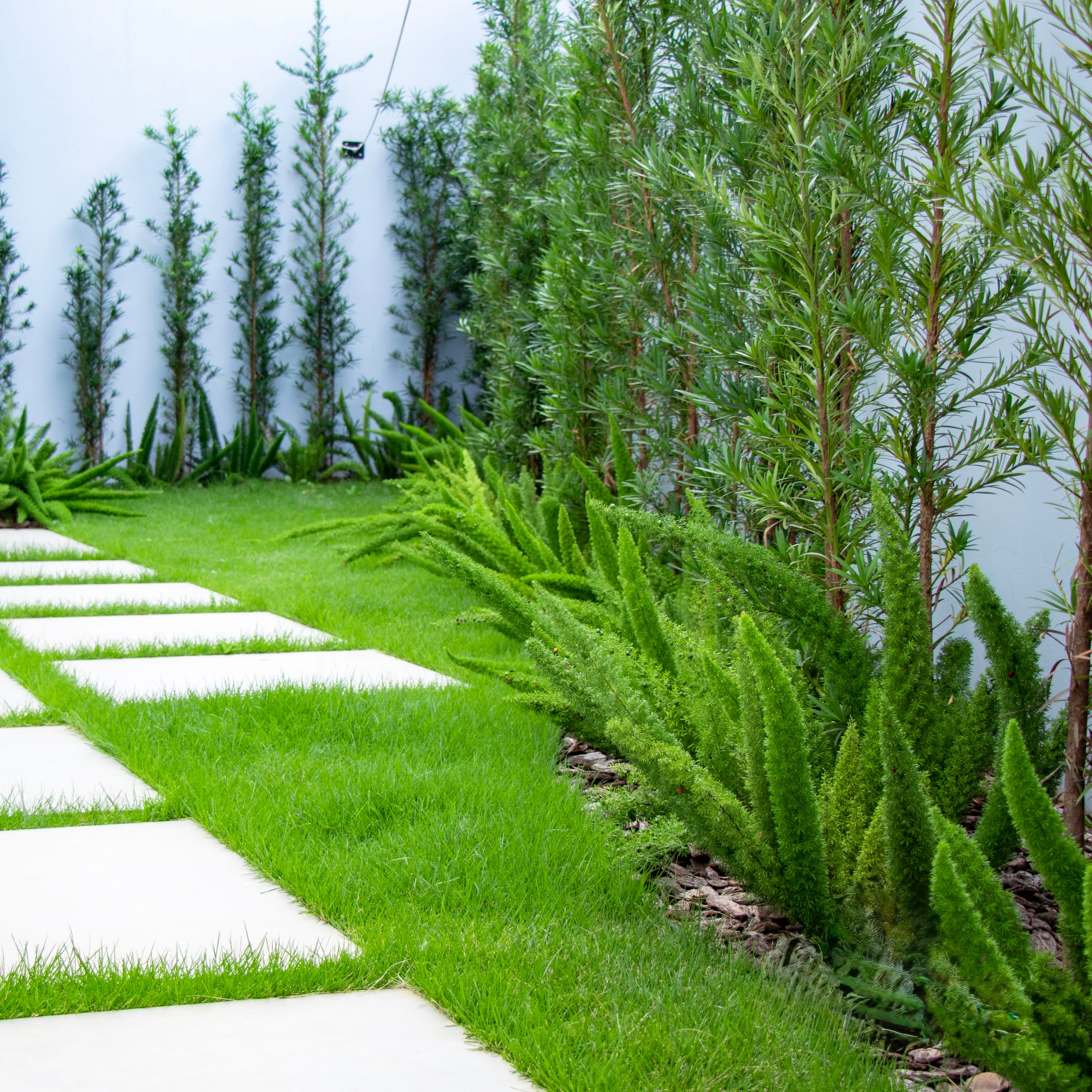 Casa LL — imagem 5