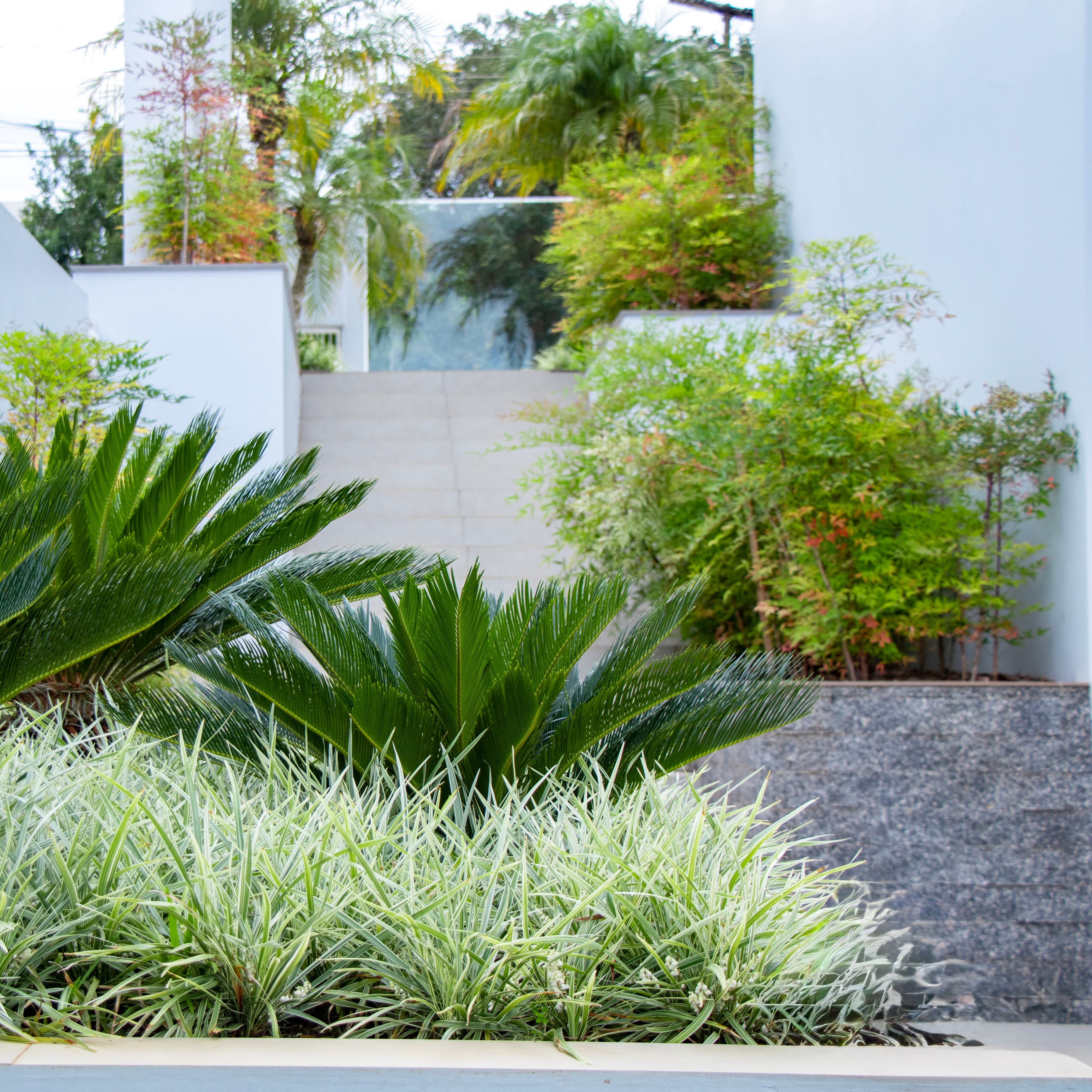 Casa LL — imagem 7